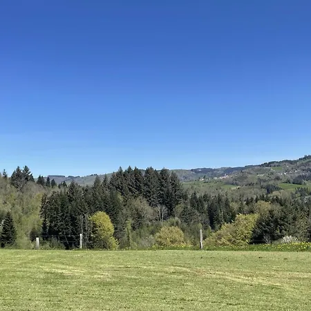 Maison Individuelle Paisible Avec Animaux Admis, Activités Pour Tous - Fr-1-489-448 * Laprugne